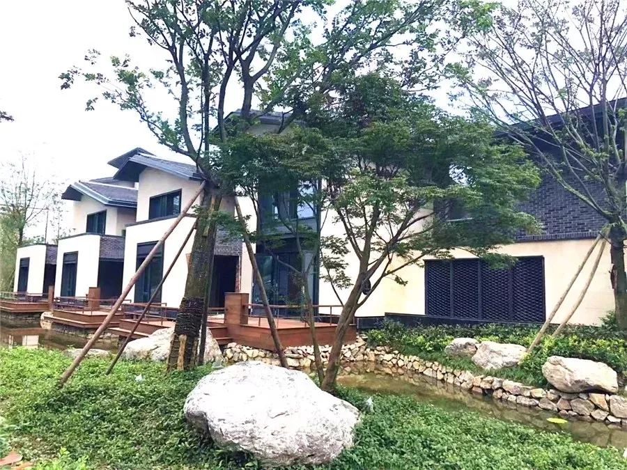 青城山度假房,青城山三个房间民宿