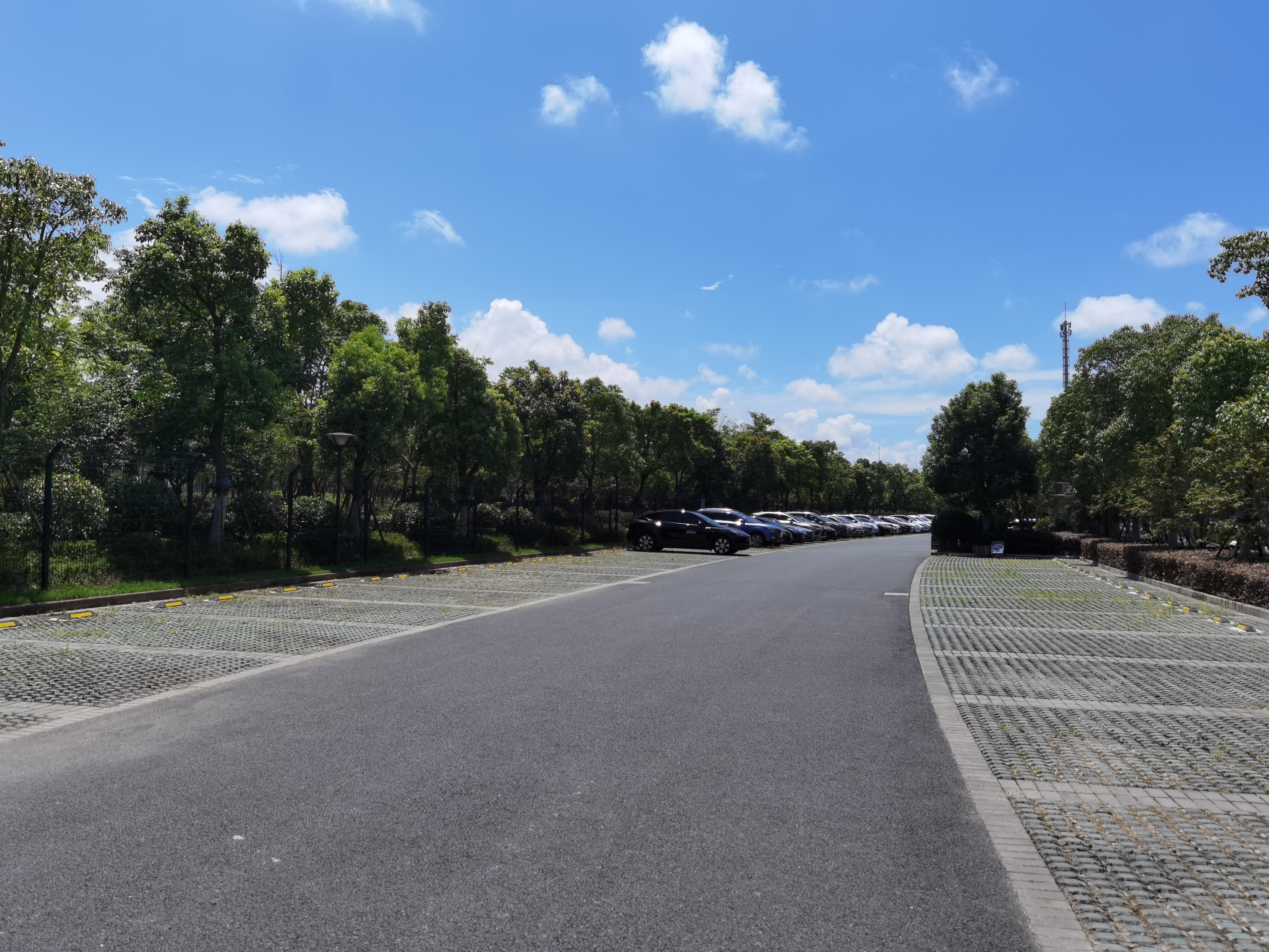 上海森兰绿洲公园面积,外高桥森兰绿地