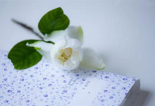 刁问妙答(太精辟了,必看)