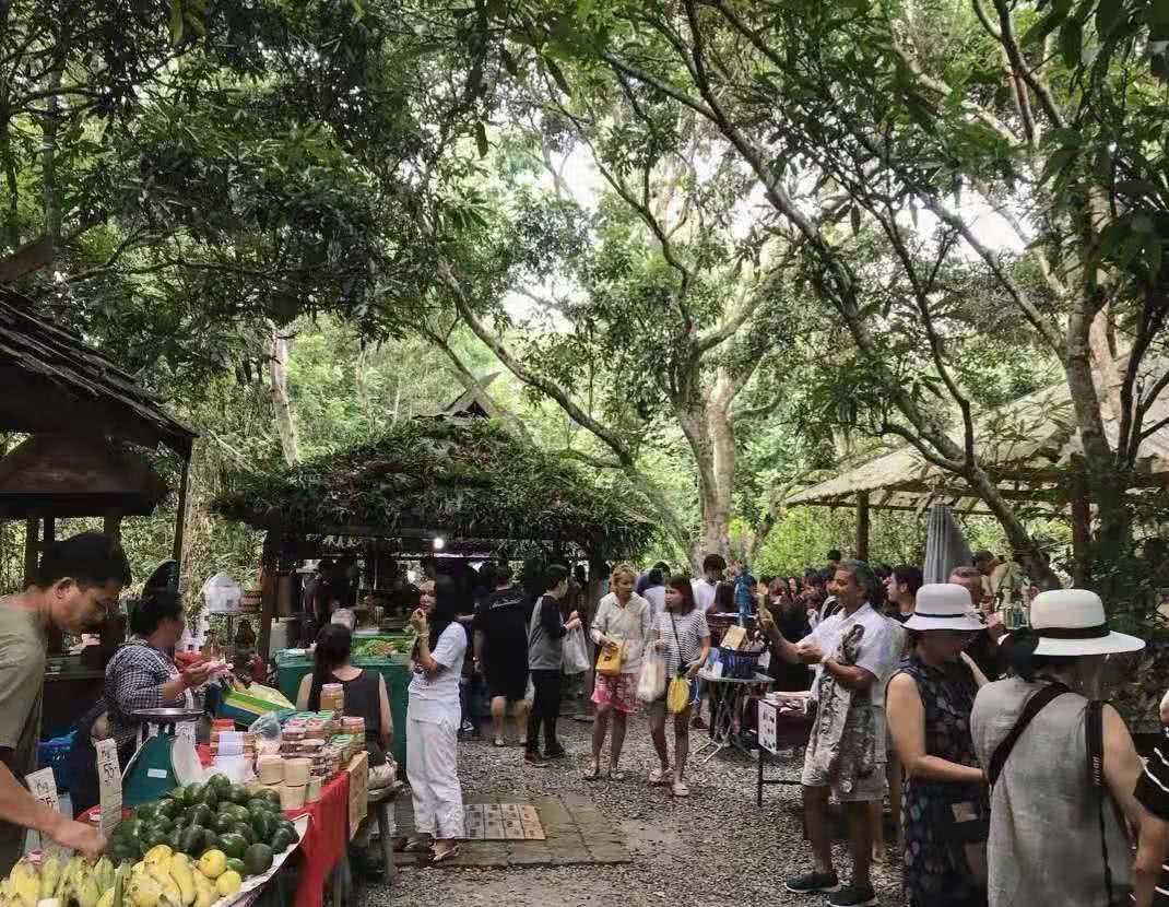 泰国清迈是怎样一座城市,泰国清迈的海拔高度是多少