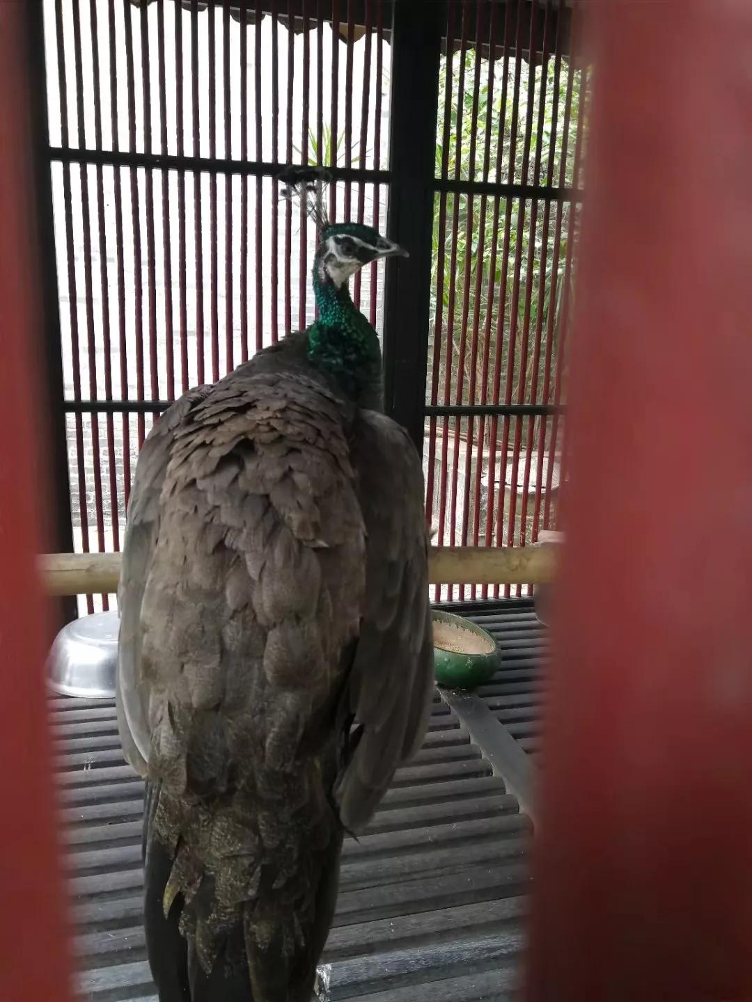 番禺地铁7号线旅游攻略,广州番禺七号线游玩攻略