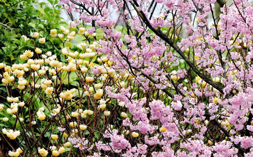 春雨江苏东台,春雨江苏无锡