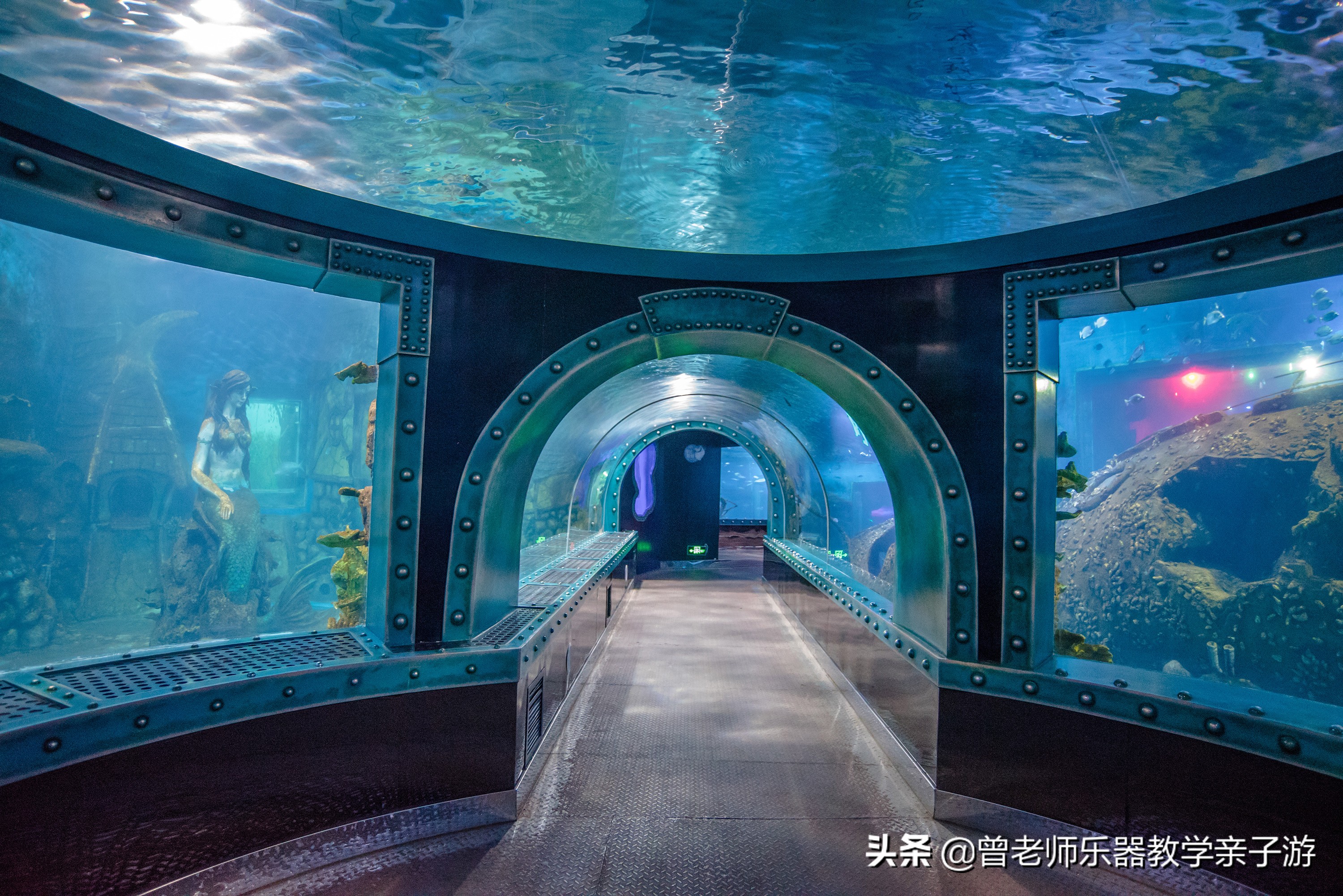 西安太奥海洋馆,西安极地海洋世界海豚表演