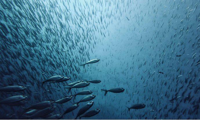 普通人不跟团去贵州玩要多少钱,去国外旅游不跟团可以吗