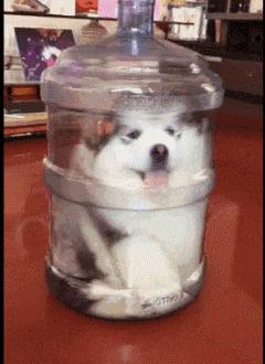 “你太低估了我的脚气，不知道还有没有救？”年轻总要付出代价