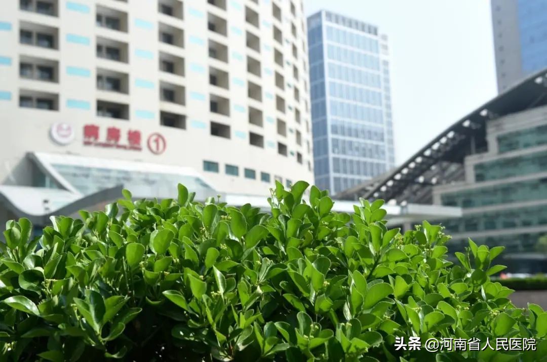 急性心梗做了支架却还是死亡,急性心梗抢救过来必须做手术么