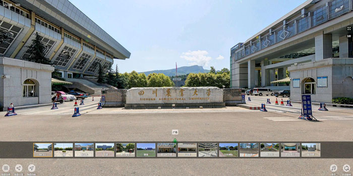 张雪峰讲的考研故事,网课自学考研成功案例