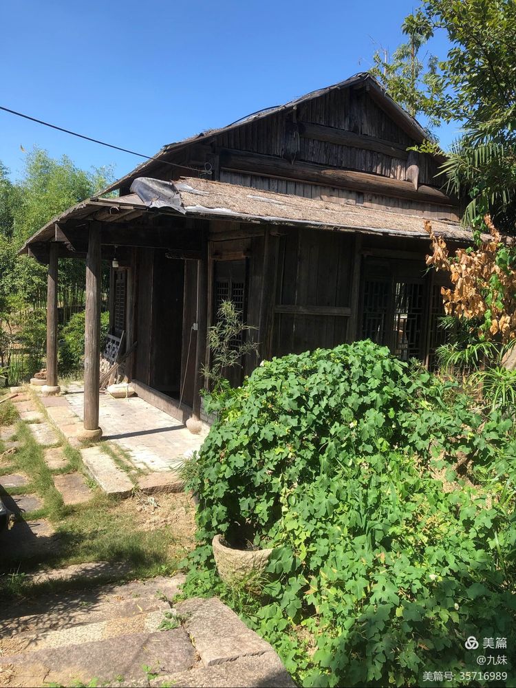 走进风雅石园，位于王店镇聚宝湾景区里