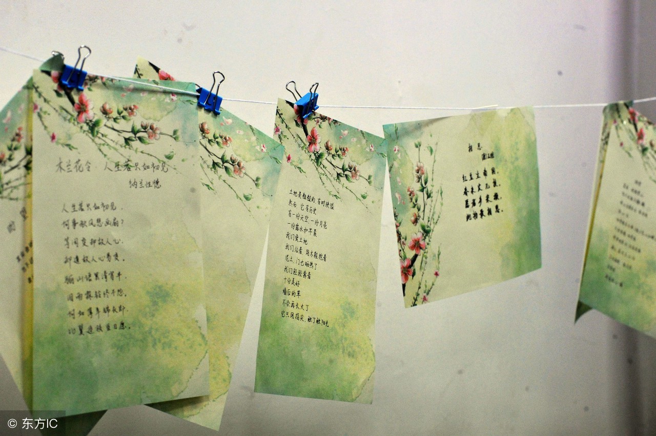 蒜皮鸡毛与鸡毛蒜皮,鸡毛蒜皮蒜皮鸡毛