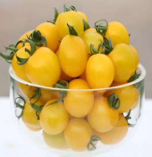 端午食博会暨特色农产品展13日开幕！绵乐眉成达资都来了