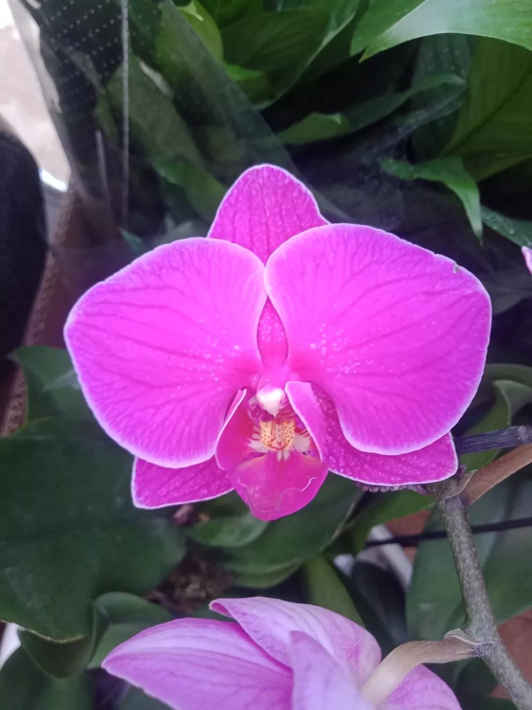 人睡着后不盖被子会着凉吗,人睡觉时为什么要枕枕头