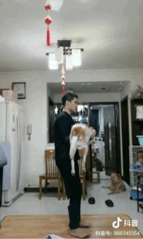 心态崩了,我的健身教练追到抖音上来了