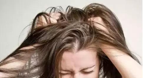 木北头皮：夏季头发油腻原因分析