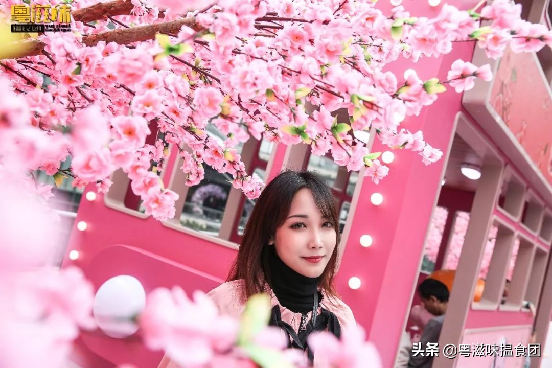 麦兜带你玩转江浙沪,麦兜潮玩