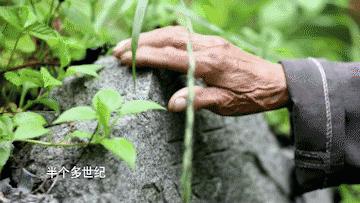 他曾险遭土匪活埋！九旬老兵寻救命恩人