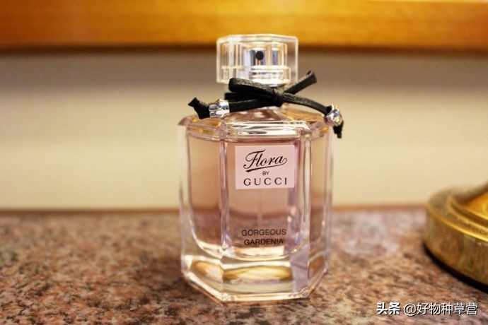 闻香识女人香水小样,女士香水选购攻略