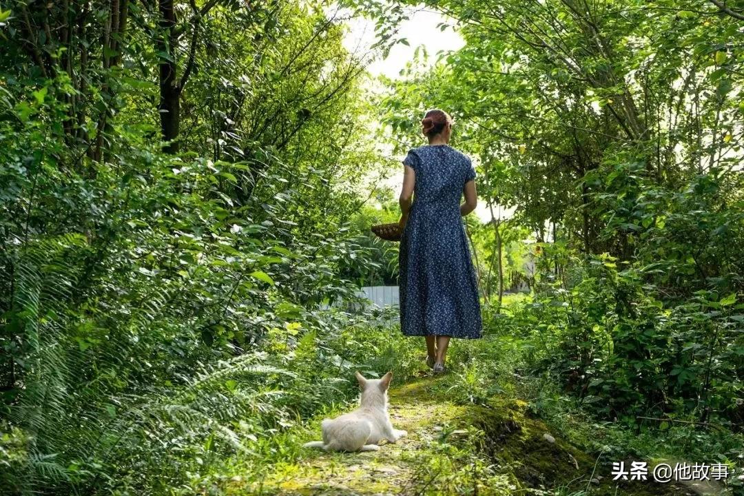 人间仙境般的世外桃源庭院,原始森林自建世外桃源