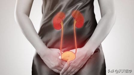 慢性肾盂肾炎的反复发作的原因和预防措施