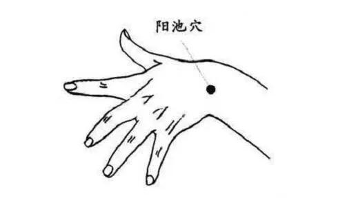 踝关节扭伤针灸视频教程,踝关节扭伤针灸处方