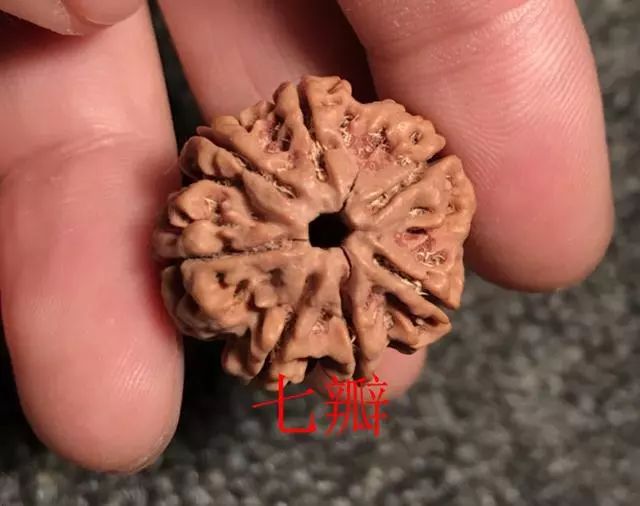 金刚菩提尼泊尔印尼区别,尼泊尔小金刚菩提子怎样快速变红