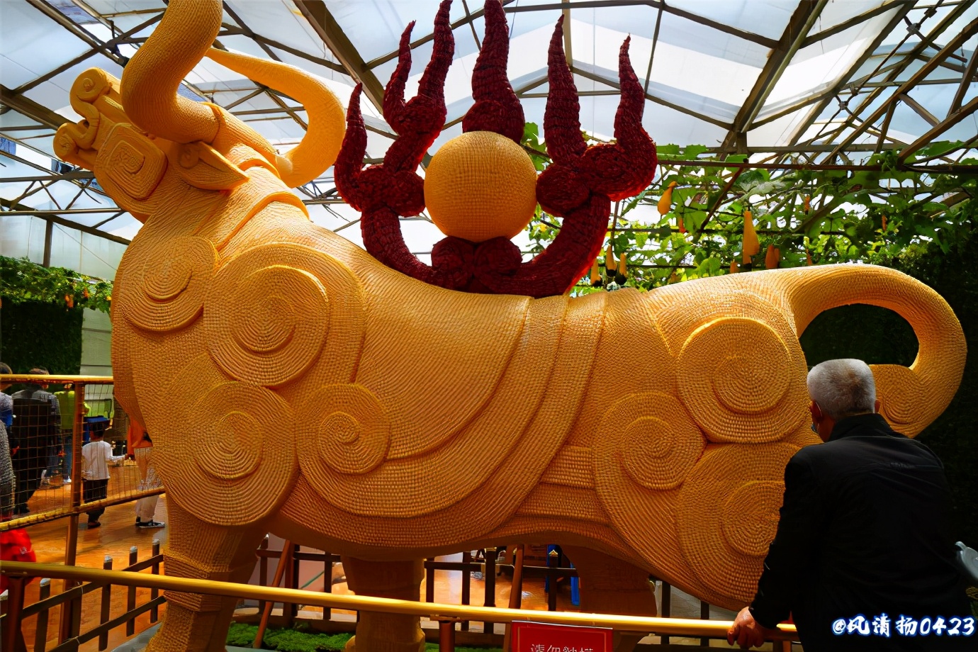 菜博会第一届,2022年菜博会天下情怀景观