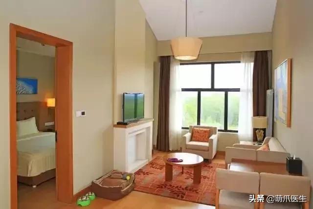 带宠物住宿酒店,带宠旅行酒店