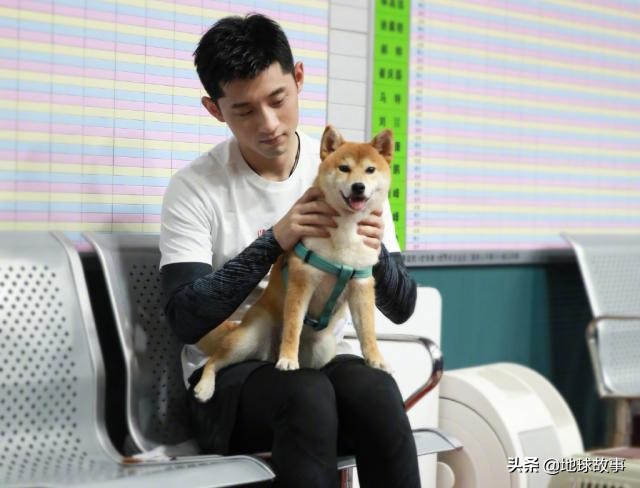 张继科个人资产多少钱,张继科豪车名表