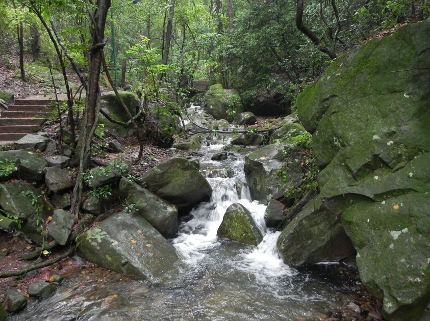 玉溪避暑住宿哪里最好,玉溪周边避暑哪个县城最凉快