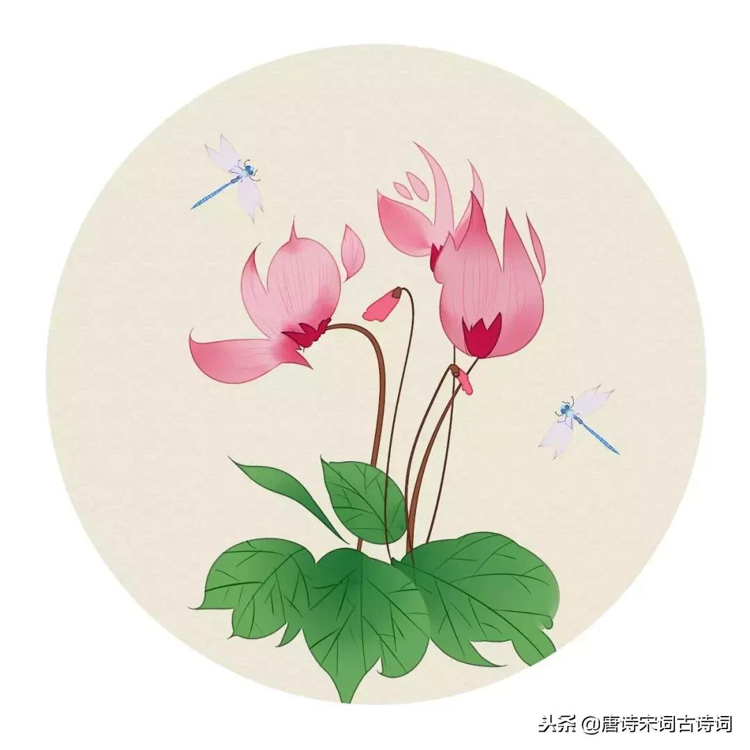 经典虞美人十首,最美虞美人十首