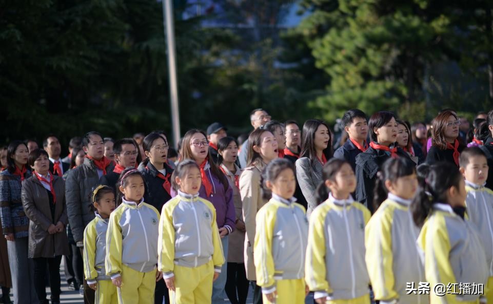 少先队员参加少先队活动感受,小学少先队员入队活动