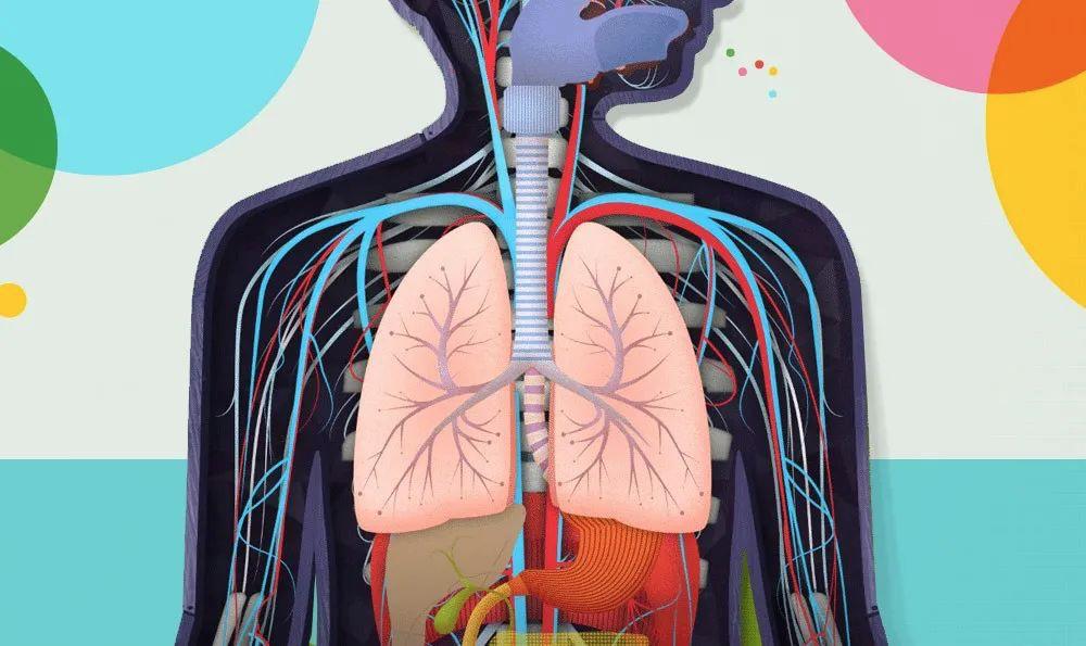现在的玩具有多好玩,最近爆火的10款最酷的玩具