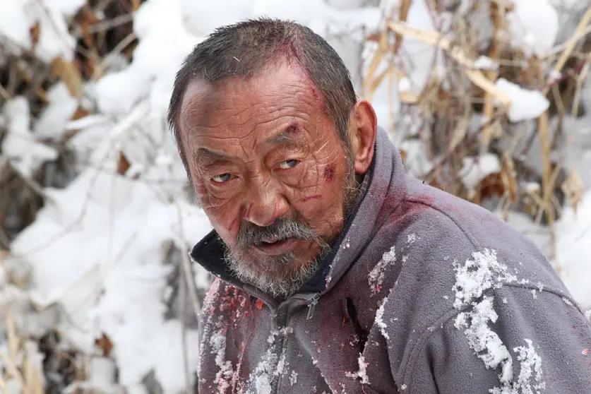 75岁老头被狼群追杀徒手大战狼群,放羊老汉遭遇狼群