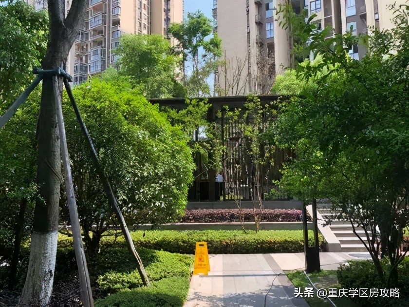 照母山的重点中学,照母山优质学区