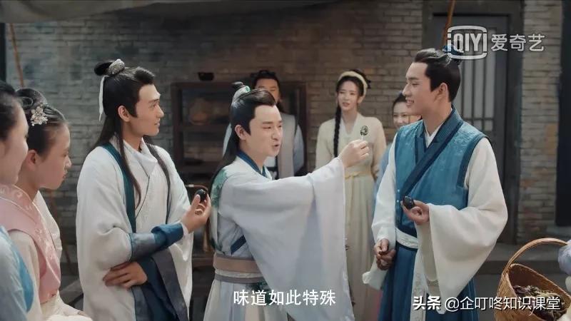 赘婿营销策略有哪些特点,赘婿商业案例