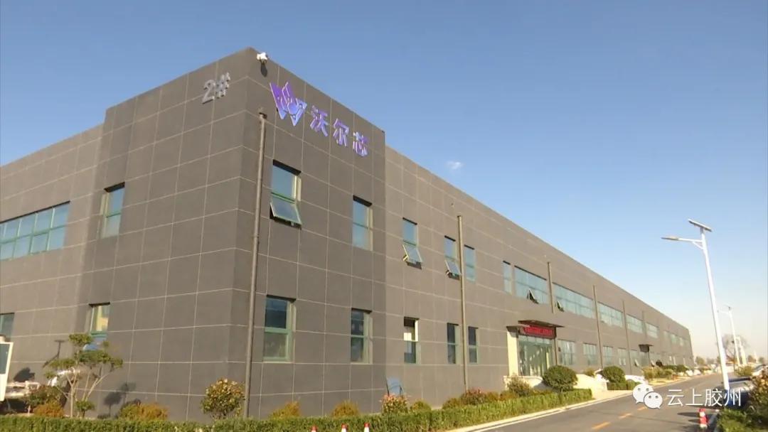 胶州洋河镇李洋静,李洋静胶州李哥庄