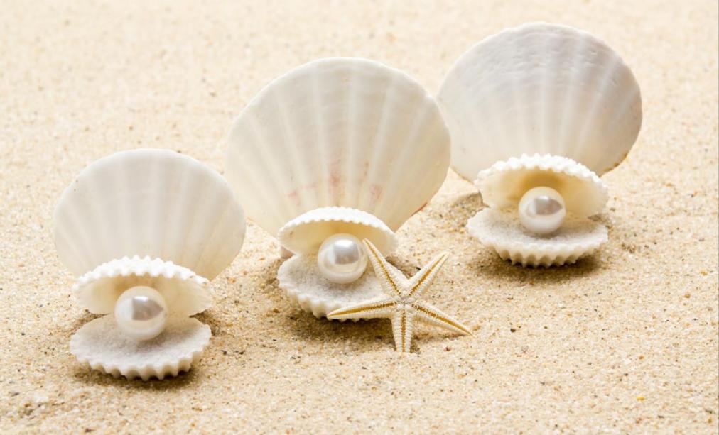 珍珠粉压成的珍珠和真珍珠差别,99%的人不知道的珍珠冷知识