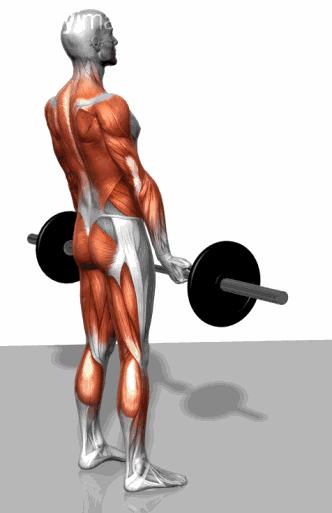 硬拉训练后腰痛的原因和处理方法,正确的硬拉会对腰部有压力吗