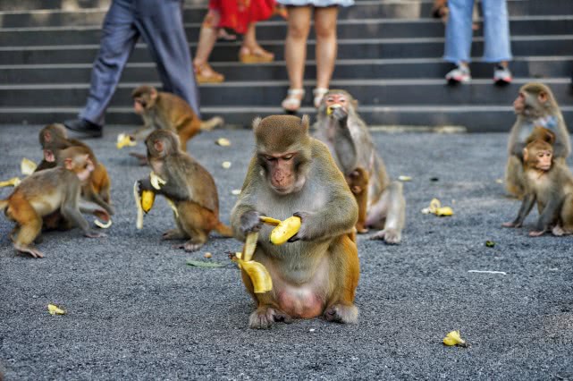 贺州旅游必去十大景点排名,贺州旅游十大最佳景点推荐