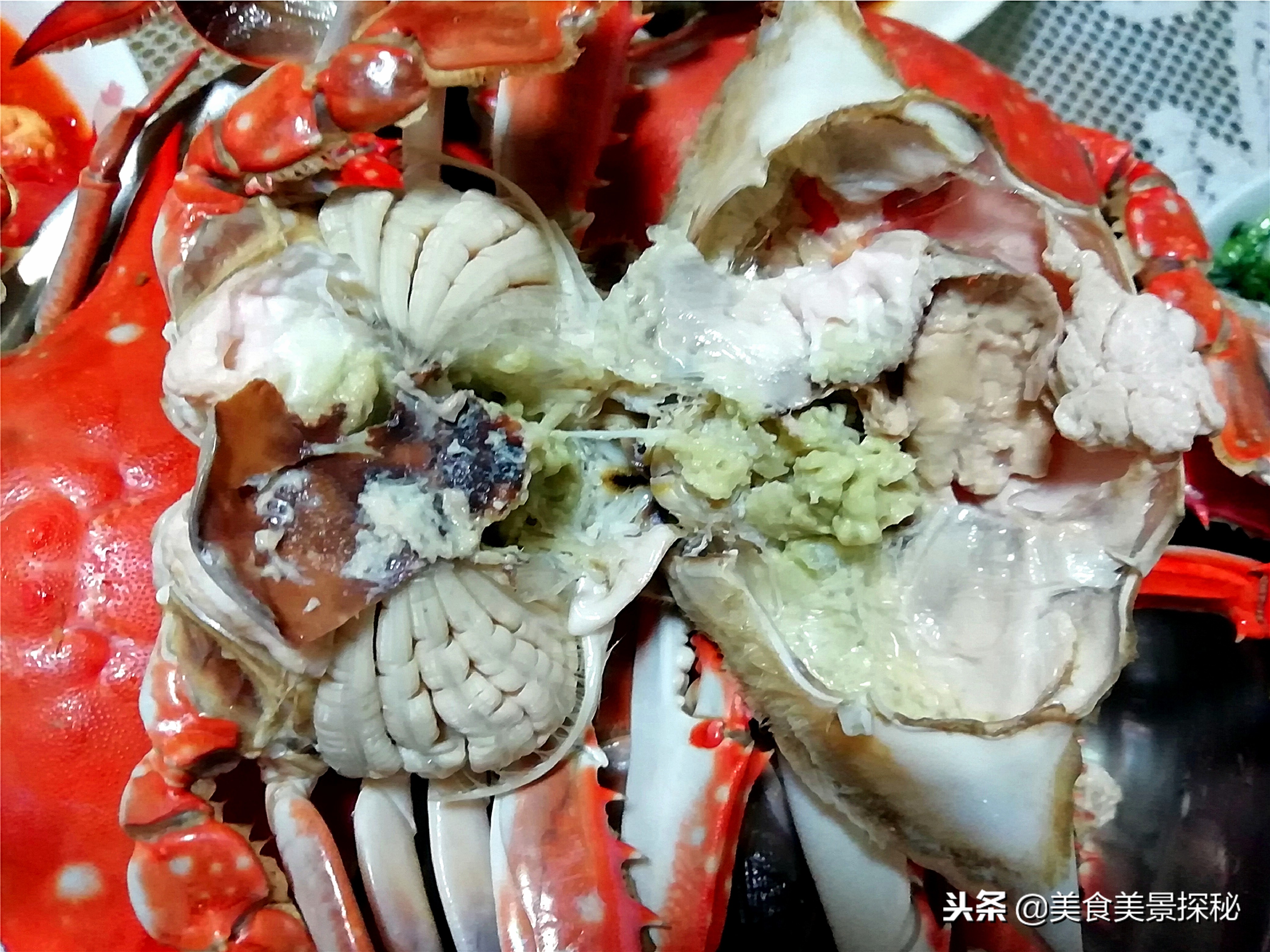 天津游玩攻略东疆湾,天津东疆湾旅游攻略