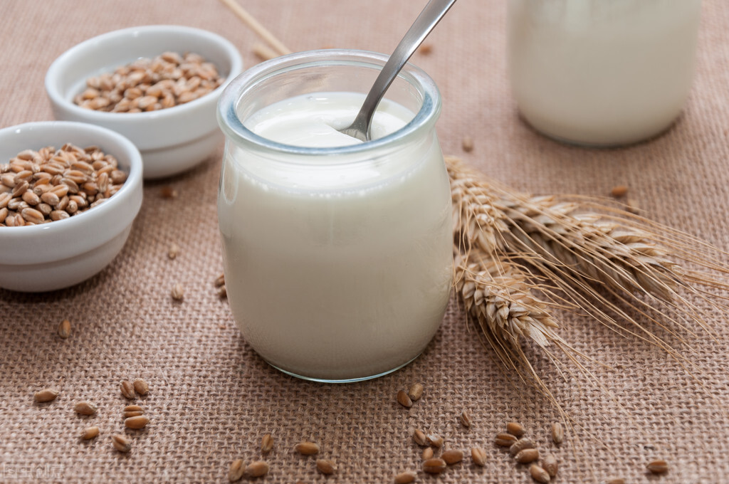 益生菌与乳酸菌联系与区别,乳酸菌和益生菌有区别么