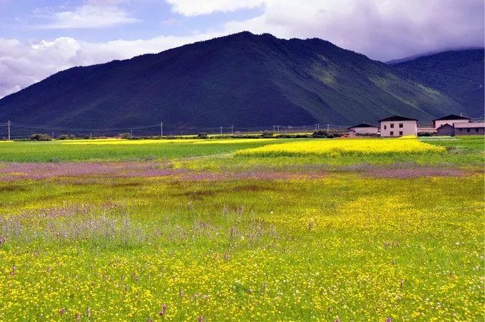 打卡香格里拉必体验的8件小事,来香格里拉必打卡的地方