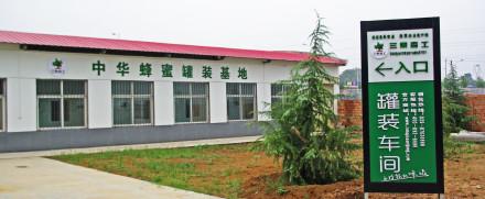 秦岭里飞出的“土蜂蜜”-------陕西省龙草坪林业局发展中蜂见闻