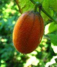 1980年“热词”大赤包克塞号霹雳舞，约等于如今的网红词