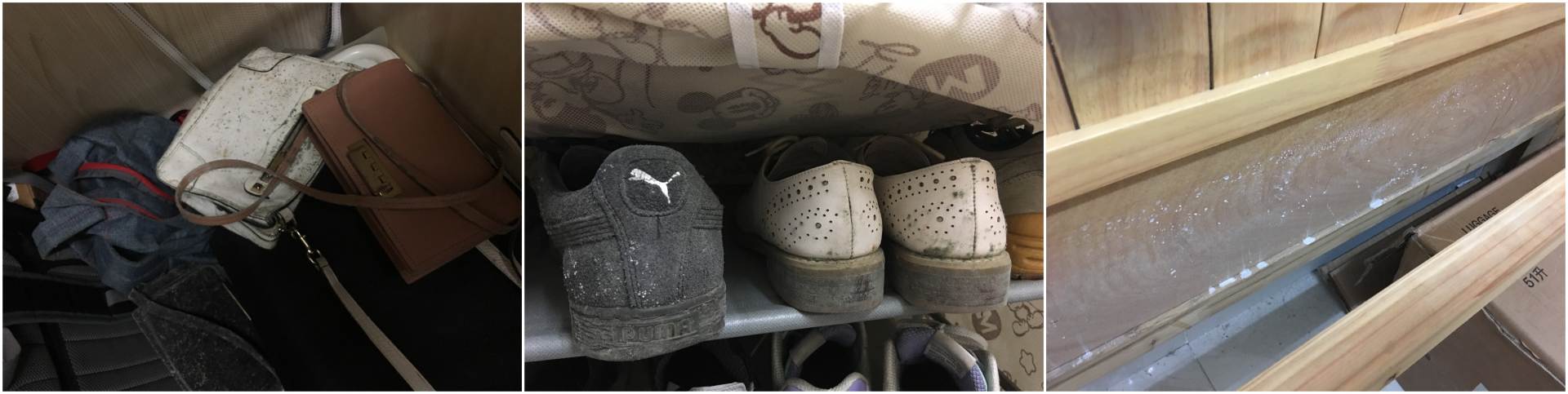 欧井225除湿机怎么使用,欧井oj181e除湿机测评