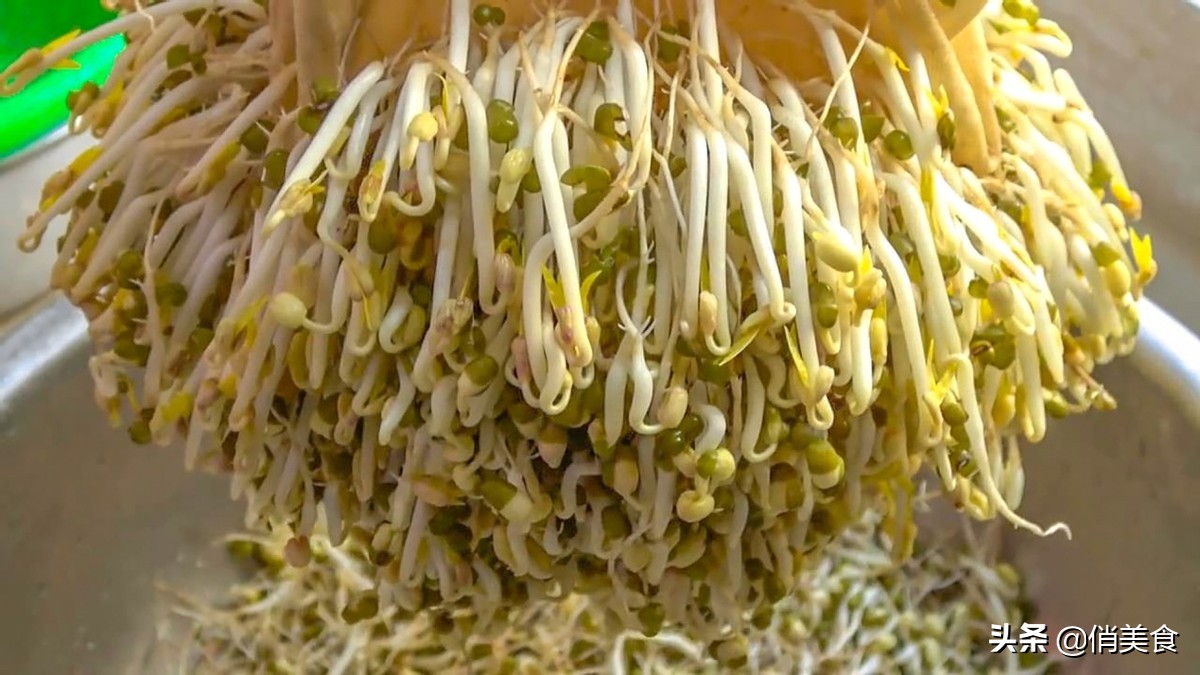 家庭自制绿豆芽的做法,家庭自制绿豆芽做法