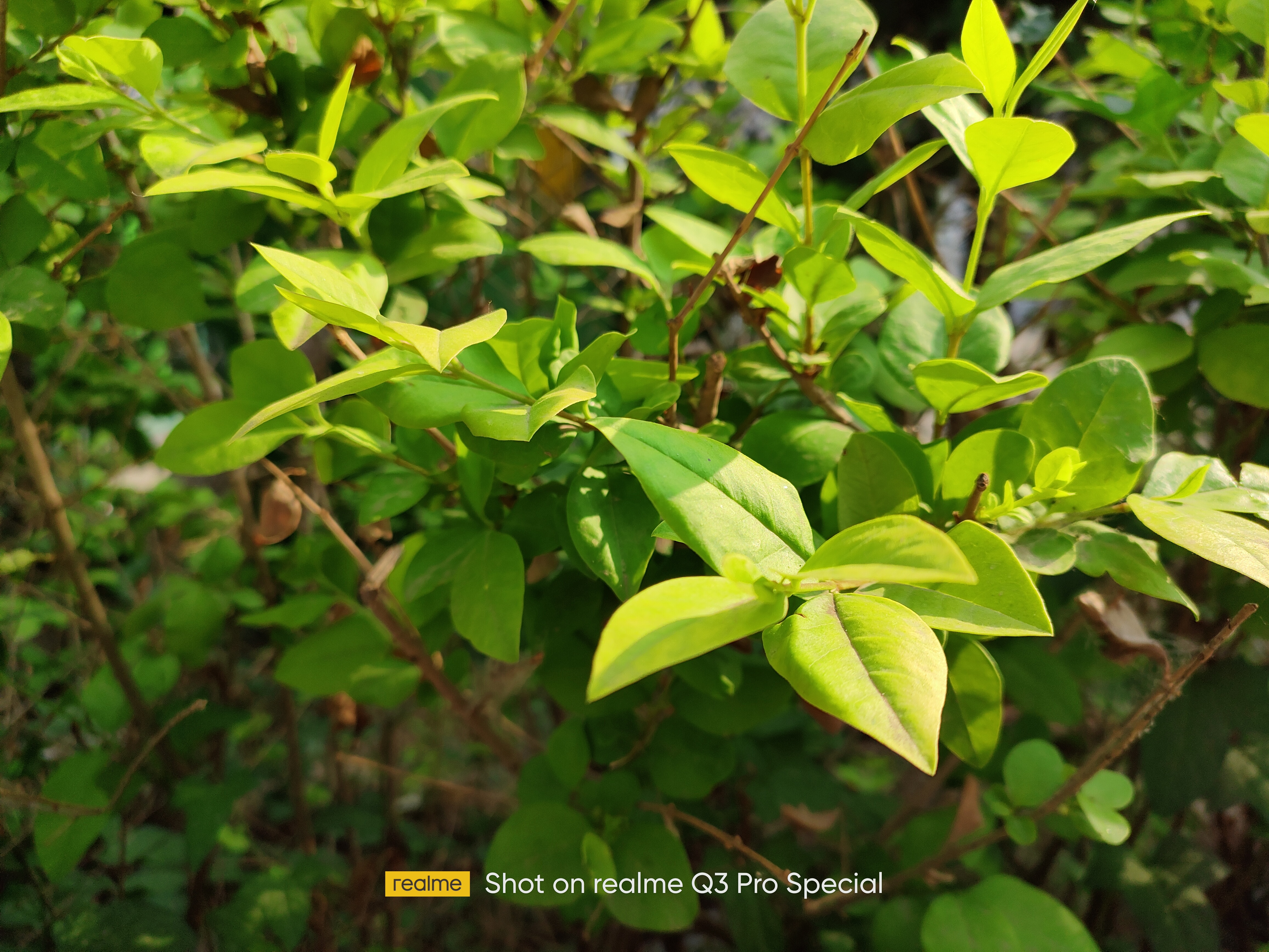 realme真我手机哪三款值得购买,realme618折扣