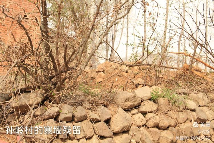 孙家岭的呼唤(下)