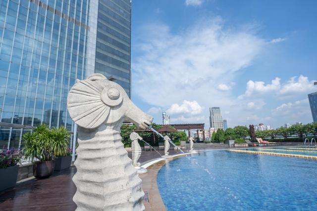 广州市性价比高的带泳池的酒店,广州市的露天泳池酒店