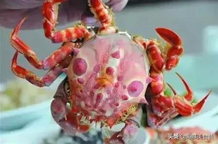 100种不同名字的海鲜,10种常见海鲜大全