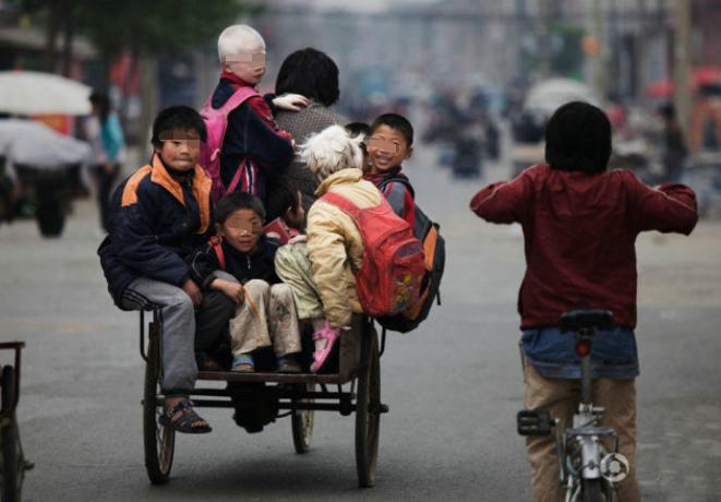 寄宿学校的弊端,一年级上寄宿学校弊端